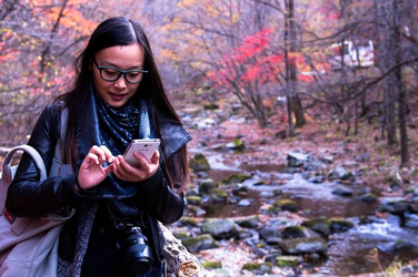 雷电将军涩图精选